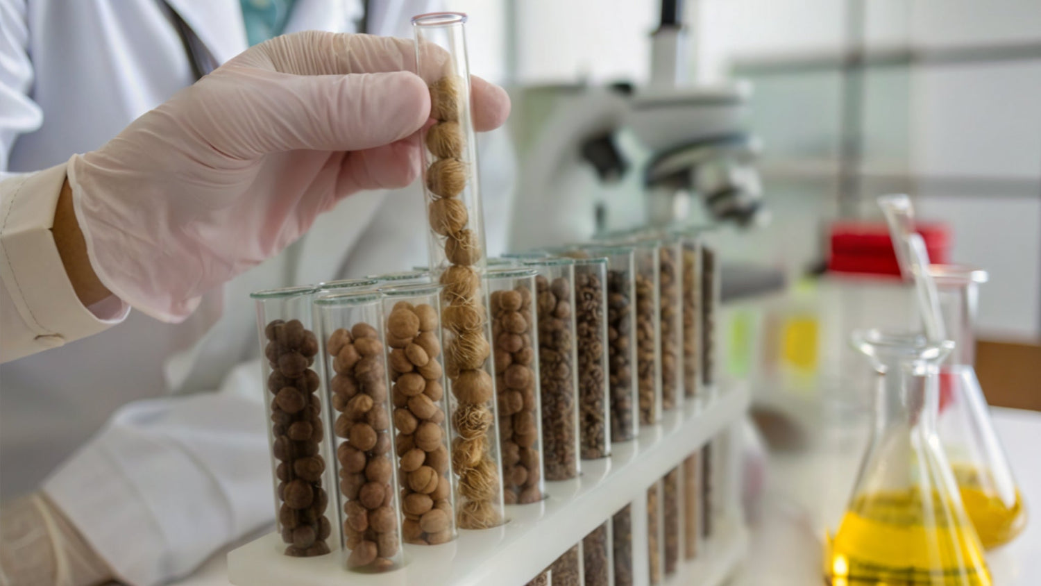 AÇAÍ BEANS AND THE FUTURE OF FOOD: HOW SCIENCE IS BUILDING A CIRCULAR ECONOMY FROM THE AMAZON