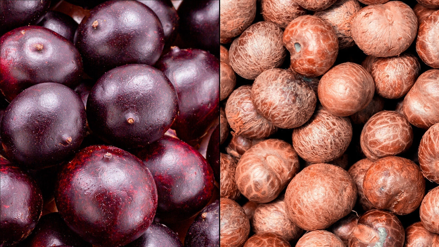 AÇAÍ BEANS VS AÇAÍ PULP: WHAT SCIENCE REALLY SAYS