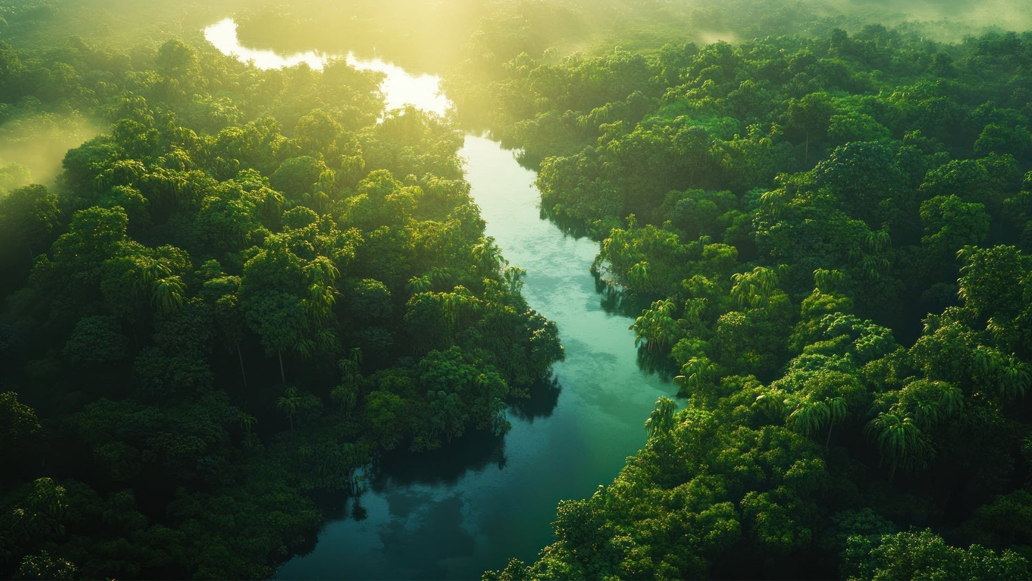 THE AMAZON’S HIDDEN CURRENTS: HOW OCEAN FORCES AND ANCIENT CIVILIZATIONS SHAPE THE RAINFOREST’S FUTURE