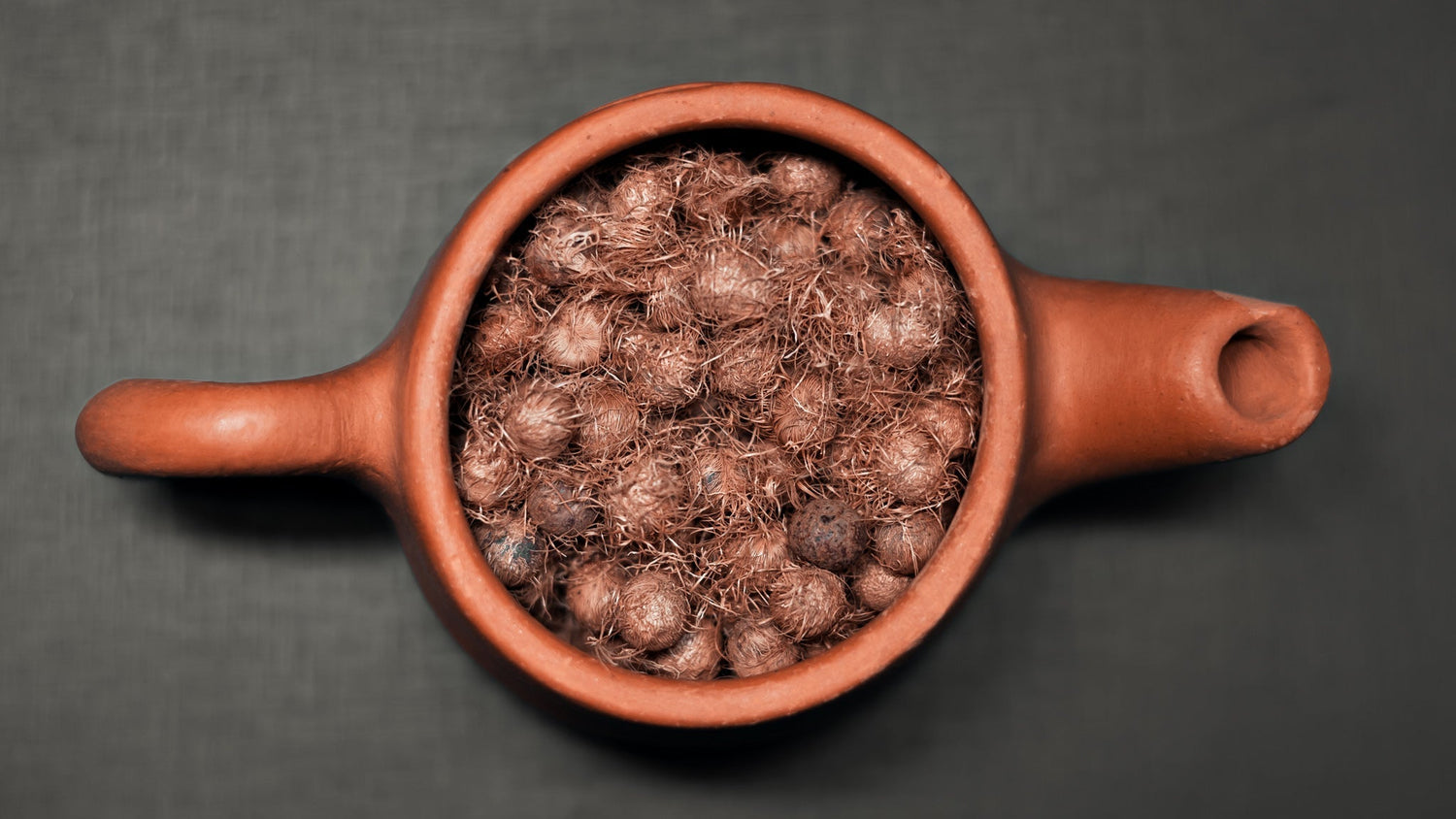 FROM AMAZONIAN INNOVATION TO U.S. SHELVES