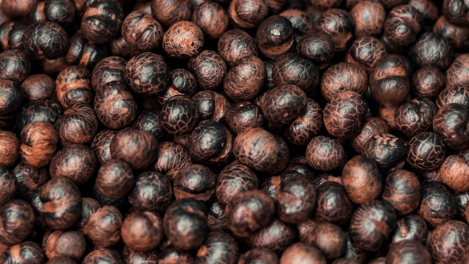 HOW AÇAÍ BEANS ARE ROASTED: FROM AMAZON TO YOUR CUP