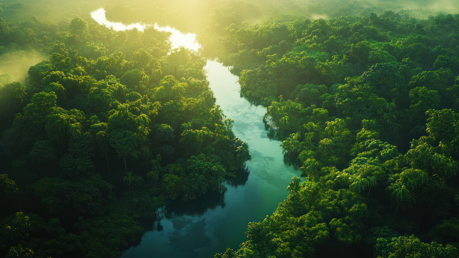 Aerial view of the Amazon rainforest at sunrise with a winding river, showcasing the lush biodiversity and natural beauty of the region. Tupan Açaí Coffee.