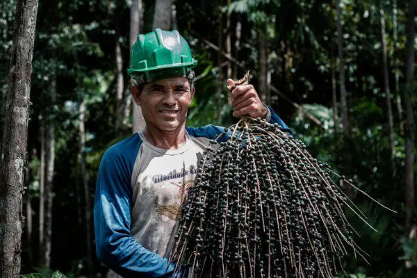 Fair Trade page on the Tupan website presenting Amazonbai cooperative members, partners with purpose, and the people behind Tupan Açaí Coffee, from the Amazon forest to the cup.