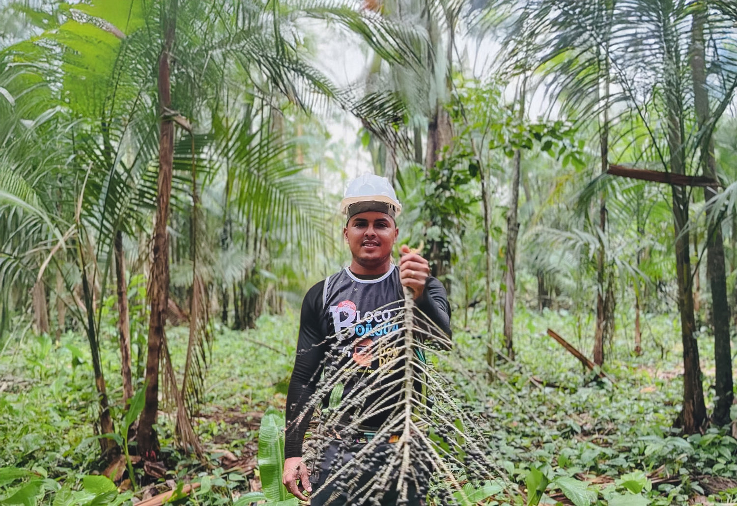 Josué Sarges, young Amazonbai harvester, proudly holding freshly collected açaí branches in the heart of the rainforest, supporting Tupan's fair trade supply chain.
