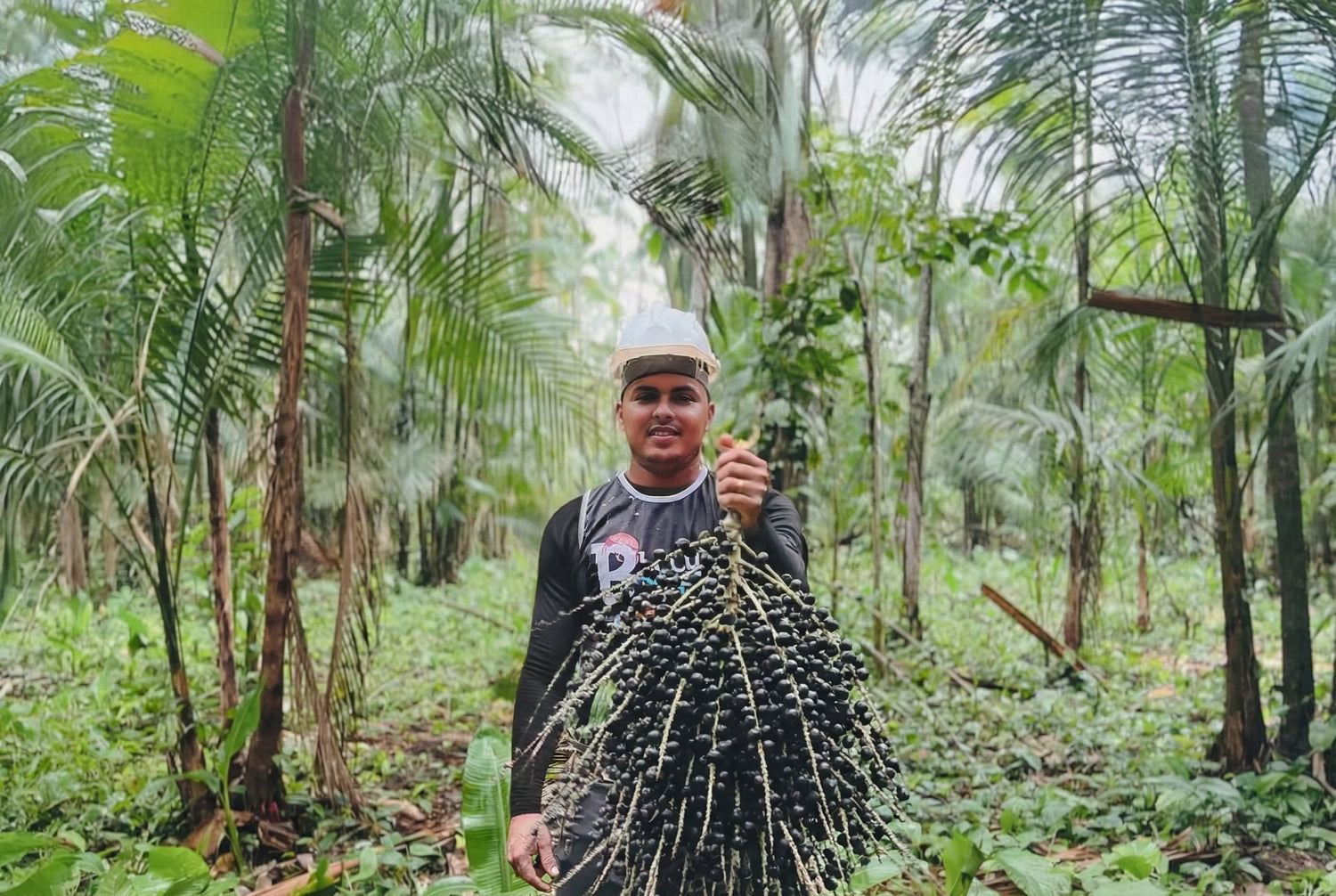 Josué Sarges, young Amazonbai açaí harvester in the Amazon rainforest, holding freshly harvested açaí berries that support Tupan’s fair trade and sustainable sourcing model.