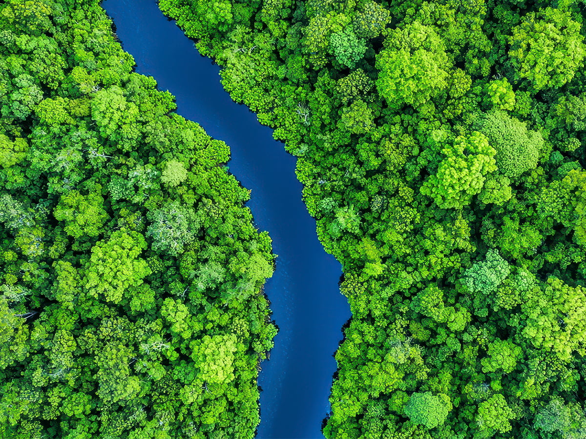 Aerial view of the Amazon rainforest with a deep blue river cutting through vibrant green canopy — symbolizing the origin of Tupan’s açaí beans.