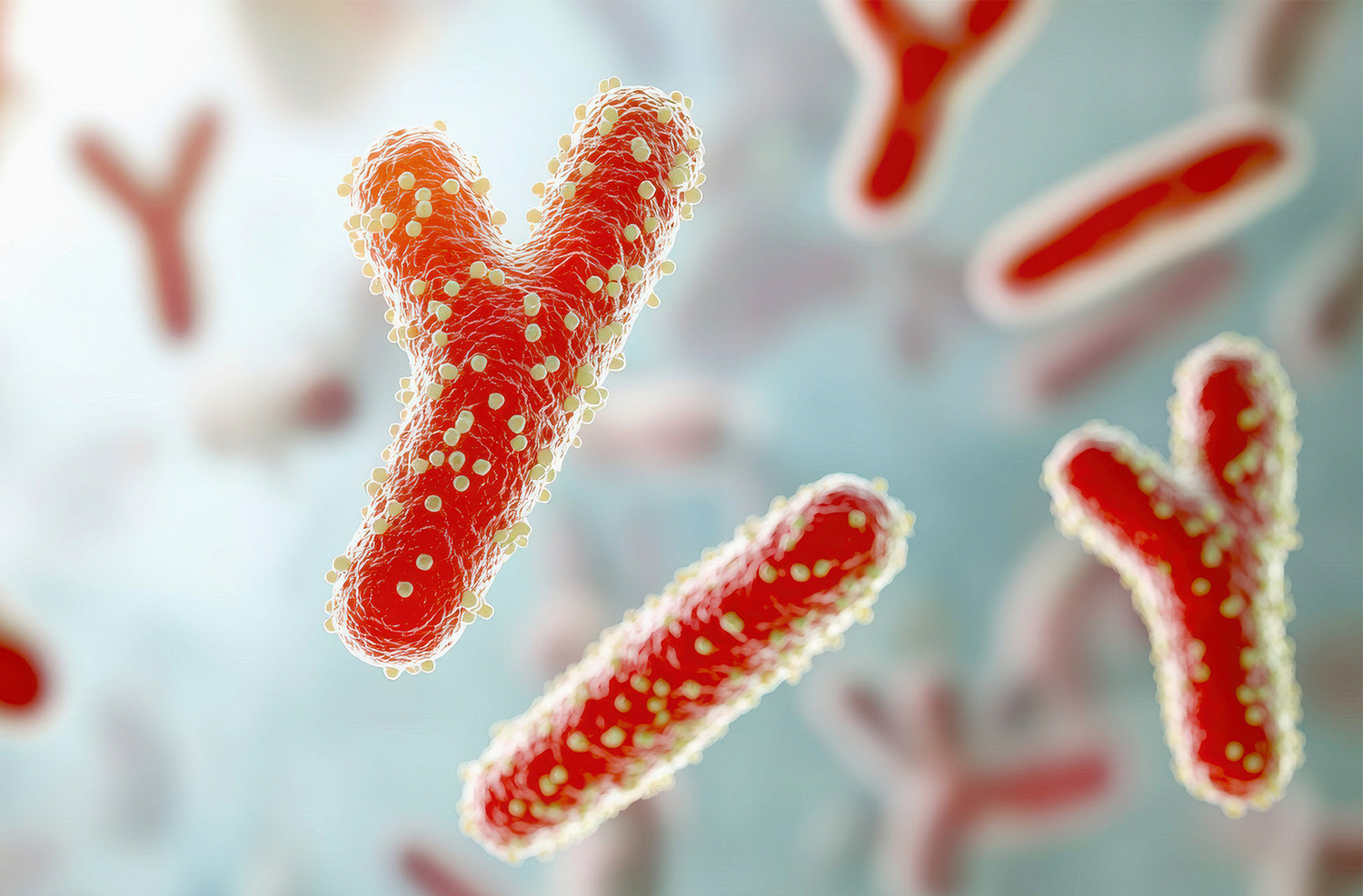 3D illustration of beneficial gut bacteria or probiotics, representing digestive health, immune support, and the natural prebiotic benefits of Tupan Açaí Coffee.