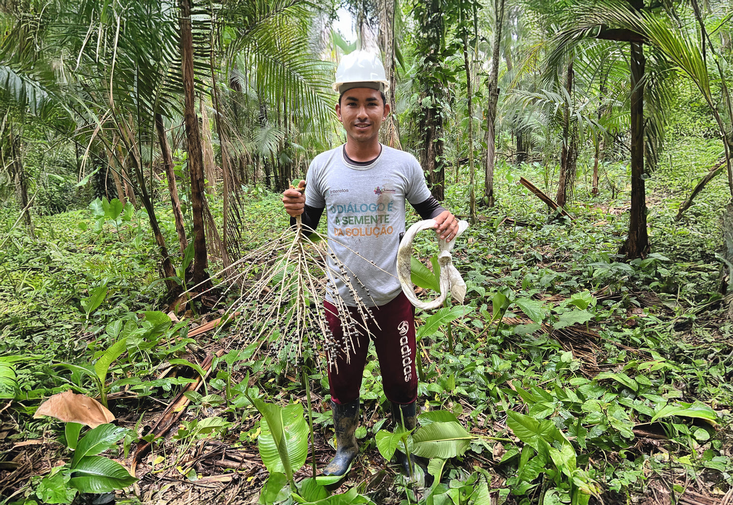 Wanderson Sarges, young member of the Amazonbai cooperative, proudly showing freshly harvested açaí bean stalks in the middle of the rainforest.
