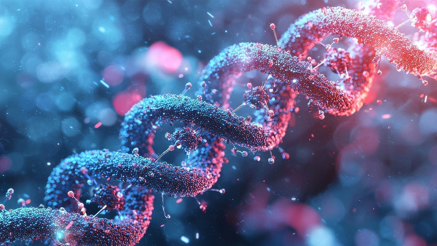 ACAI COFFEE & ANTIOXIDANTS: FUNCTIONAL FOOD MEETS FOREST SCIENCE