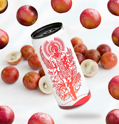 Tupan Açaí Brew Camu Camu can floating on a white background with fresh camu camu fruits distributed naturally, showcasing an organic Amazonian beverage made from upcycled açaí beans and vitamin-rich camu camu.