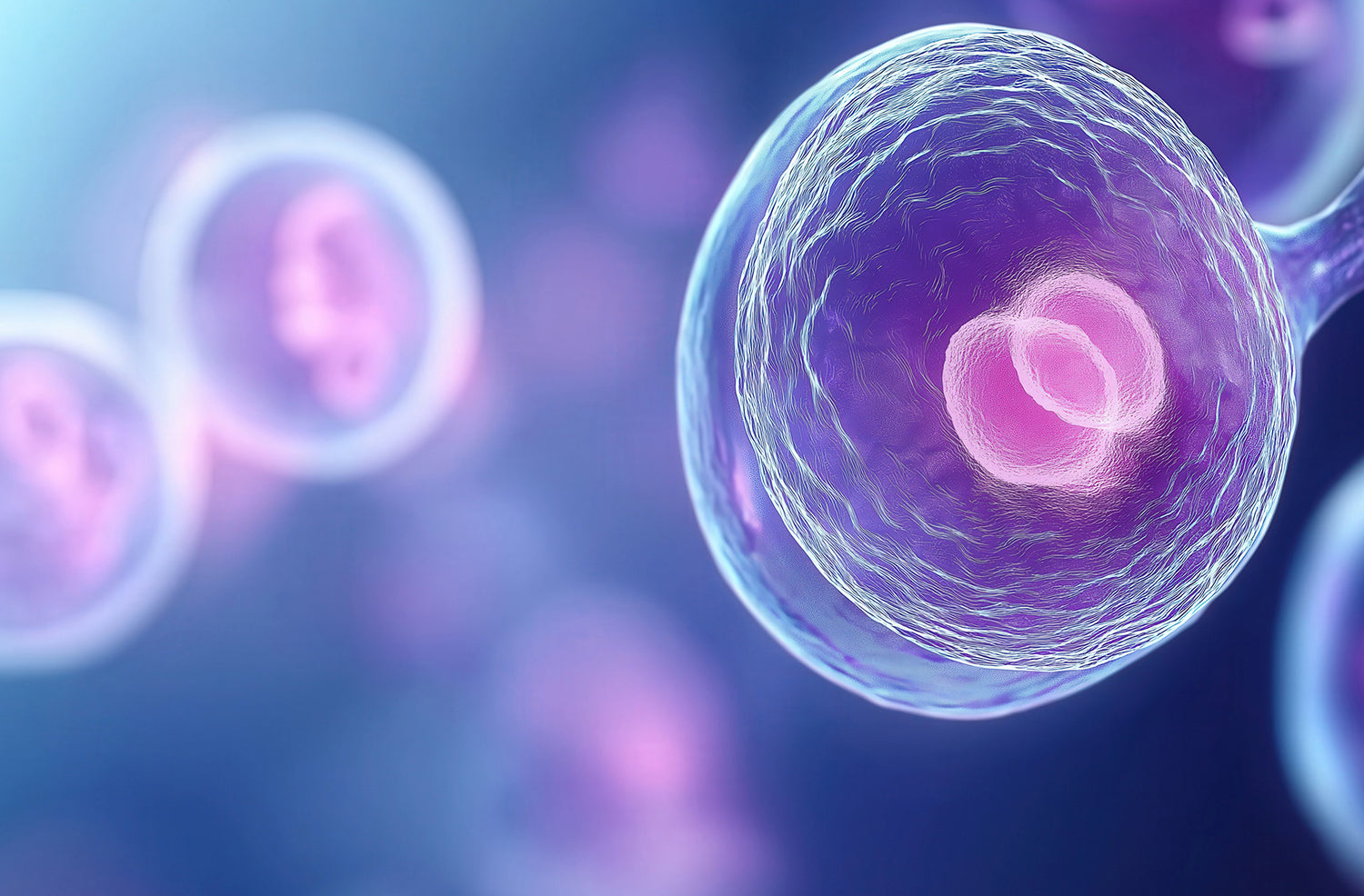 Microscopic view representing antioxidant action in Açaí Brew Original – vibrant protection at the cellular level.