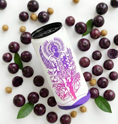 Tupan Açaí Brew Original can floating on a clean white background, surrounded by fresh Amazonian açaí beans, natural açaí pits and green leaves, highlighting a clean, caffeine-free, organic beverage made from upcycled açaí beans.