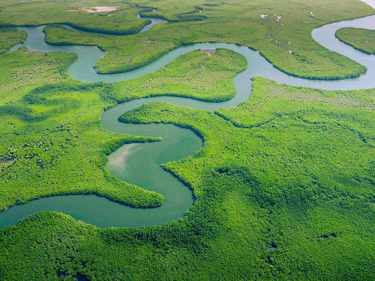 Aerial view of the Amazon rainforest with winding rivers — a vibrant green landscape that inspires Tupan’s origin and purpose.