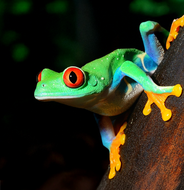 Produto em destaque mobile