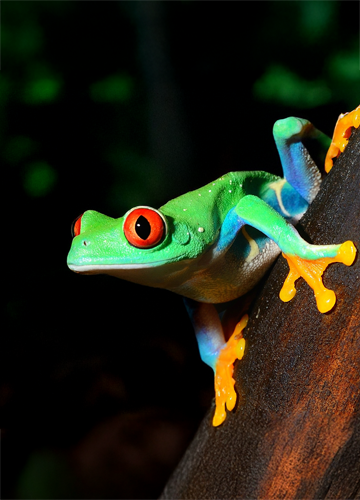 Produto em destaque desktop